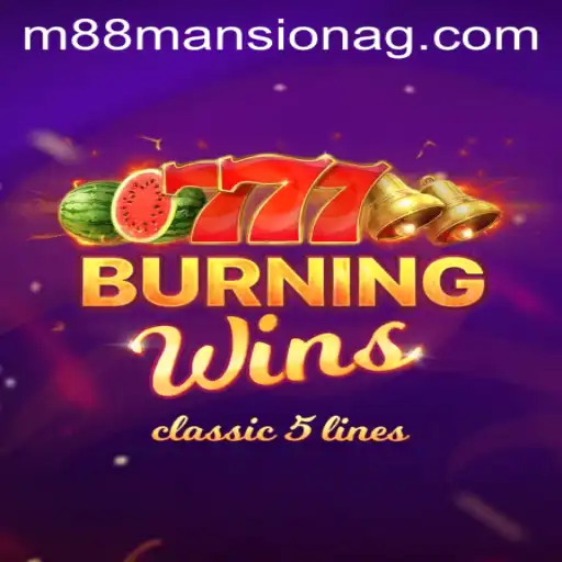 Exploring the Thrills of BurningWins at 3191bet.br